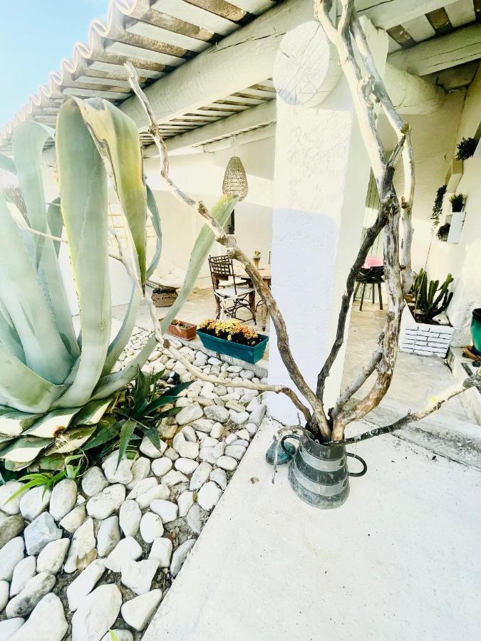 Villa Cabanon Aloe Avec Piscine Chauffee & Bain Nordique Veaux Exterior foto